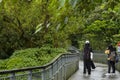 Taiwan, New Taipei City, Shifenliao Waterfall, park, forest trail Royalty Free Stock Photo