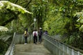 Taiwan, New Taipei City, Shifenliao Waterfall, park, forest trail Royalty Free Stock Photo