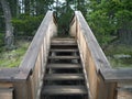 Forest Trail Stairs Royalty Free Stock Photo
