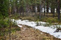 Forest trail winds through melting snow patches at the edge of a quiet clearing Royalty Free Stock Photo