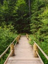 forest trail through wooden bridge in beautiful woodland scenery Royalty Free Stock Photo