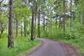 Forest trails on Uppsala Sweden.
