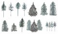 Forest tree Clipart set, Watercolor Woodland trees illustration, Winter Foggy landscapes, Pine forest,  Wedding invites, card Royalty Free Stock Photo