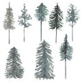 Forest tree Clipart, Watercolor Woodland trees, Winter Foggy landscapes, Pine forest illustration, Wedding invites, card making, Royalty Free Stock Photo
