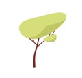 Forest tree with deciduous crown in cartoon style. Spring woods foliage plant with leaf, branches, trunk. Abstract