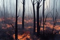 Forest tree devoured by flames of wildfire natural disaster. Effect of climate change or global warming, bushfire