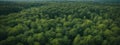 Forest and tree landscape texture abstract background, Aerial top view forest atmosphere area, Texture of forest view from above, Royalty Free Stock Photo