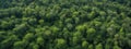 Forest and tree landscape texture abstract background, Aerial top view forest atmosphere area, Texture of forest view from above, Royalty Free Stock Photo