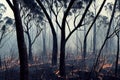 Forest tree plant on fire with burning flames and fog smoke wildfire landscape. Woodland in dark vapor haze and dust