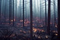 Forest tree plant on fire with burning flames and fog smoke wildfire landscape. Woodland in dark vapor haze and dust