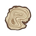 forest tree rings cartoon vector illustration Royalty Free Stock Photo