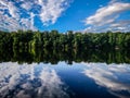 Forest treeline reflections in catawba river Royalty Free Stock Photo