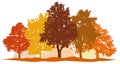 Forest trees autumn silhouette vector. City park and forest landscape background isolated set