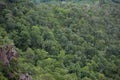 Forest trees background - jungle nature green tree on the mountain top view , forest landscape scenery of river in southeast Asia Royalty Free Stock Photo