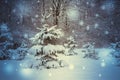 Forest trees covered snow at night in winter. Royalty Free Stock Photo