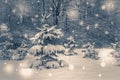 Forest trees covered snow at night in winter.Photo in old vintage style. Royalty Free Stock Photo
