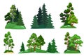 Forest Trees. Green Fir Tree, Forests Pine Composition And Isolated Trees Cartoon Vector Illustration Set