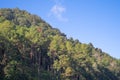 Forest trees and green mountain hill with blue sky. Nature landscape background, Thailand Royalty Free Stock Photo