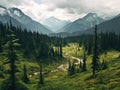 a forest of trees and mountains