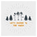 Forest. Trees. Pine. Spruce. Vector Typography Poster Design Concept. Set. Royalty Free Stock Photo