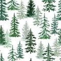 Forest trees seamless pattern. Watercolor hand-painted pine and spruse trees on white background. Natural winter print Royalty Free Stock Photo