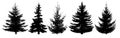 Forest trees set. Isolated vector silhouette. Royalty Free Stock Photo