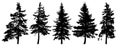 Forest trees silhouette. Isolated vector set. Royalty Free Stock Photo