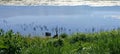 Forest trees silhouette reflection on the quiet lake surface, very peaceful, no people, lake reflection background Royalty Free Stock Photo