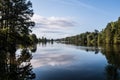 Forest Trees at Stumpy Lake Royalty Free Stock Photo