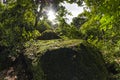 Forest Trees with Sunlight Bursting through Tree Branches at Sunset in the Woods with stones covered with moss.Kanheri caves mount