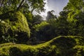 Forest Trees with Sunlight Bursting through Tree Branches at Sunset in the Woods with stones covered with moss.Kanheri caves mount