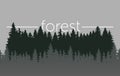 Forest trees. Vector silhouette of detailed and seamless Spruce forest. Royalty Free Stock Photo