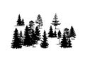 Forest trees vector silhouette .Set of vector silhouettes of forest coniferous trees. Royalty Free Stock Photo