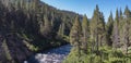 Forest on Truckee River in California