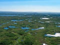 Forest-tundra landscape