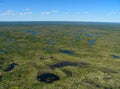 Forest-tundra landscape