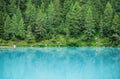 Forest and turquoise lake in the Dolomites apls, Italy.