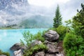 Forest and turquoise lake in the Dolomites apls, Italy.