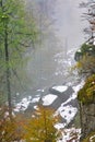 Forest under Biely Kamen mountain in Vtacnik during autumn Royalty Free Stock Photo