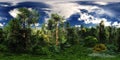 Forest under the sky with clouds, HDRI, environment map