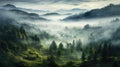 forest valley wood fog landscape