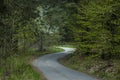 Forest and various trees with new leaf, blossom and road in springtime at Plana mountain Royalty Free Stock Photo