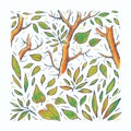 Forest vector hand drawn illustration. Multicolor drawing trees on white background