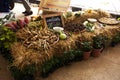 Forest vegetables and jungle fruits for thai people cooking local native food for show and sale travelers customers taste eat from