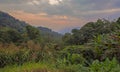 Forest and Vegetation in Mae Wong National Park