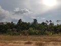 forest edge landscape, forest island of balang, borneo island Indonesia Royalty Free Stock Photo