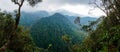 Forest view in PANACAM National Park in Honduras.