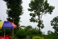 Forest View Point of Sikkim Offbeat Place Lungchok