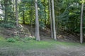 Forest view of a small hill with different kind of trees