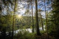 Forest view with sunrays and lake reflection. Royalty Free Stock Photo